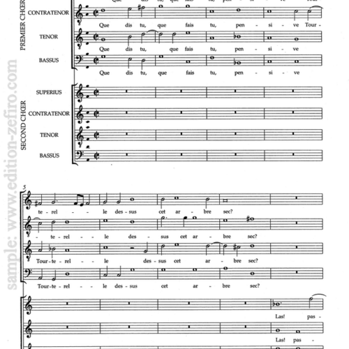 Lassus: Que dis tu, que fais tu à8