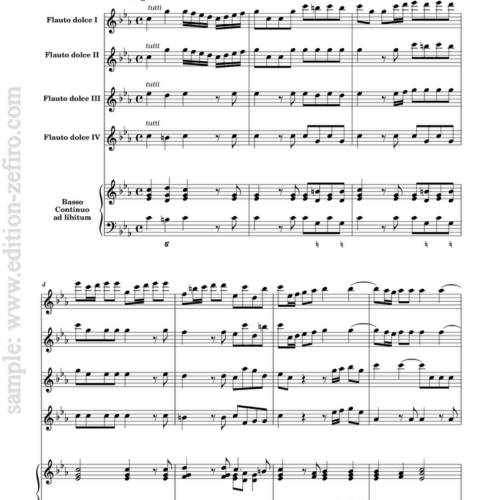 Concerto Op. 15/2 in C minor : Joseph Bodin de Boismortier