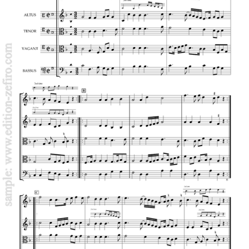 Hoftanz Benzenhauer (viols) : Anonymous