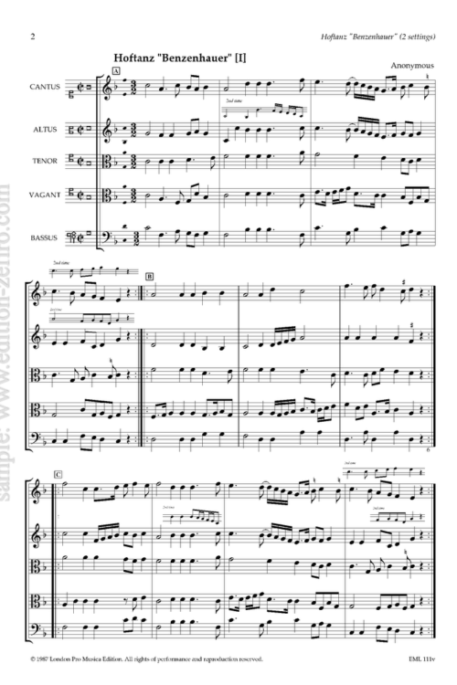 Hoftanz Benzenhauer (viols) : Anonymous