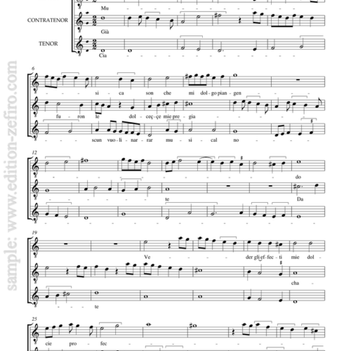 Musica son : Francesco Landini