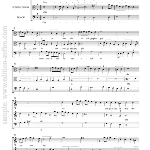 Musica son (viols) : Francesco Landini