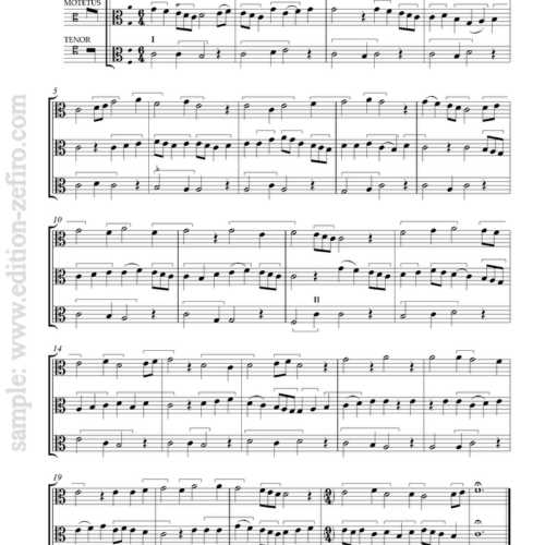 6 Instrumental Motets from the Bamberg Codex  (viols)