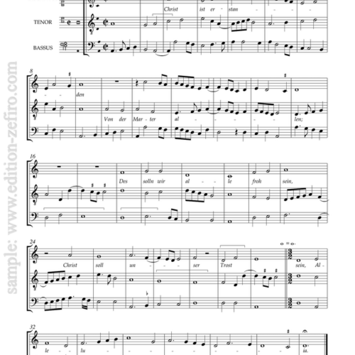 Eight Pieces from Apel Codex