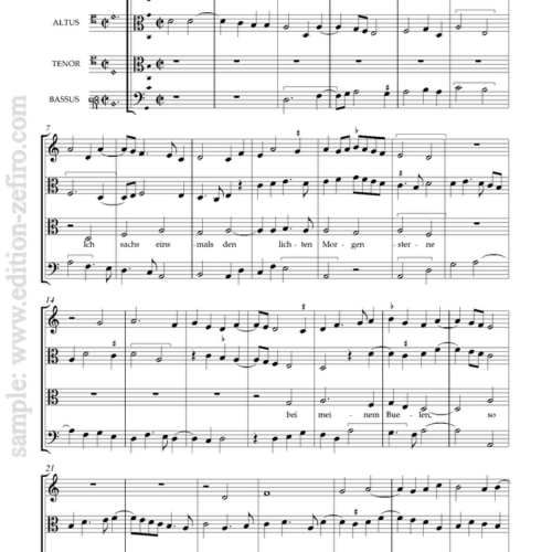 7 Lieder from the Leopold Codex (viols)