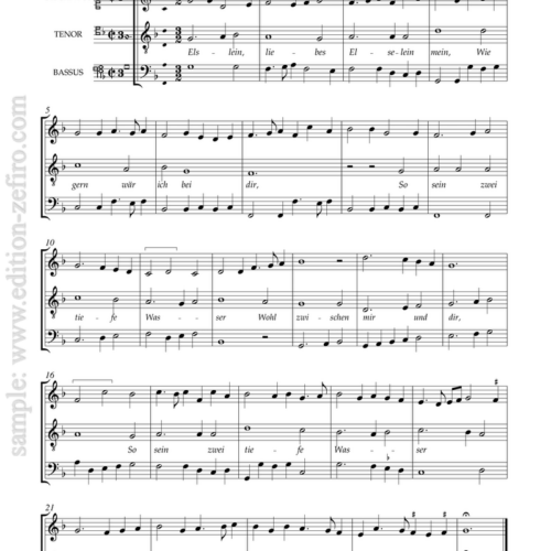 sample page to the title 5 Pieces from Formschneyder, Trium Vocum Carminum (1538)