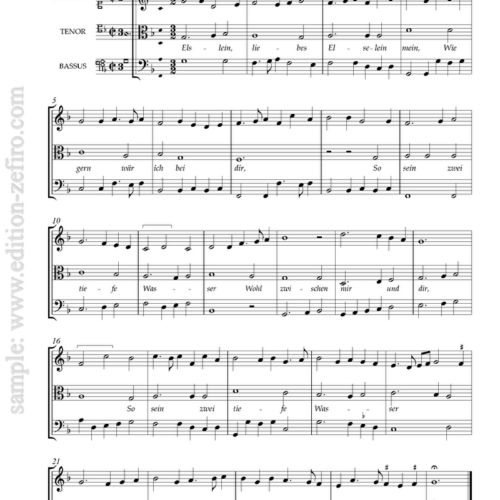 5 Pieces from Formschneyder, Trium Vocum Carminum (1538) (viols)