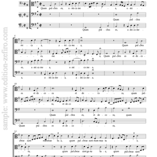 Pierre Moulu : Quam pulchra es à4 (viols)