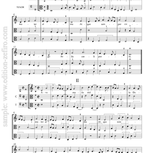 Ave maris stella - 5 settings from the Trent Codex (viols)