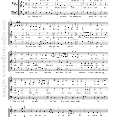 Eleven Pieces from The Glogauer Liederbuch