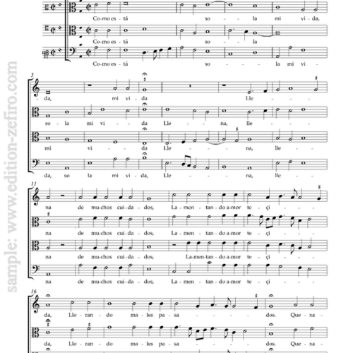 7 villancicos from the Cancionero de Palacio (viols)