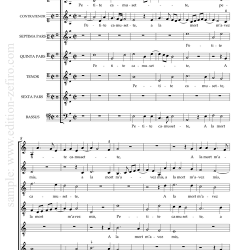 Petite Camusette : Thomas Crecquillon