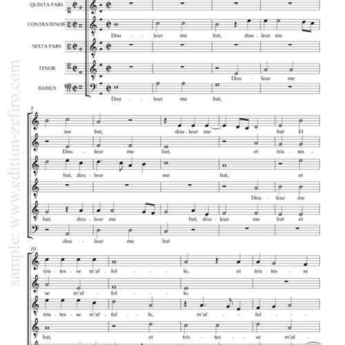 Douleur me bat : Adrian Willaert