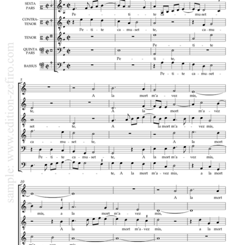 Petite Camusette : Adrian Willaert