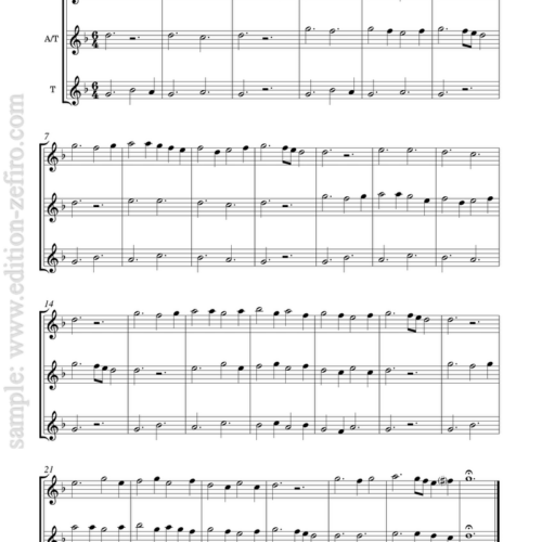 The Medieval Collection