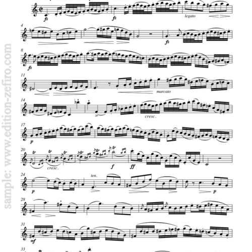 Fantasia, Op. 31 : Ernst Krähmer