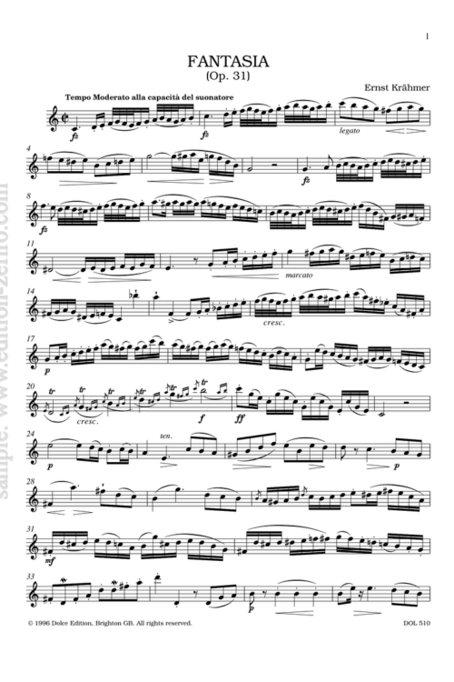 Fantasia, Op. 31 : Ernst Krähmer