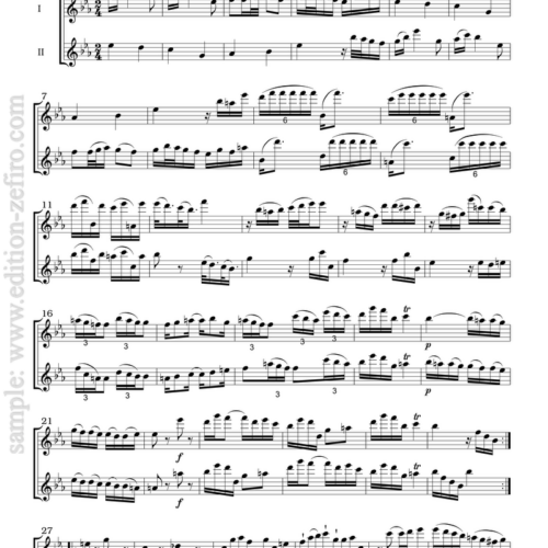 Telemann - The Berlin Duos