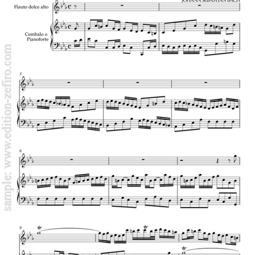 Bach: Sonata in C/D minor