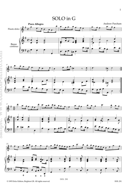 Solo in G (for recorder): Andrew Parcham
