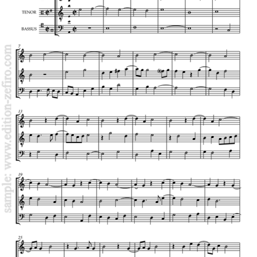 Sit fast : Christopher Tye