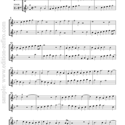 Roland de Lassus - Motetti et Ricercari a due voci