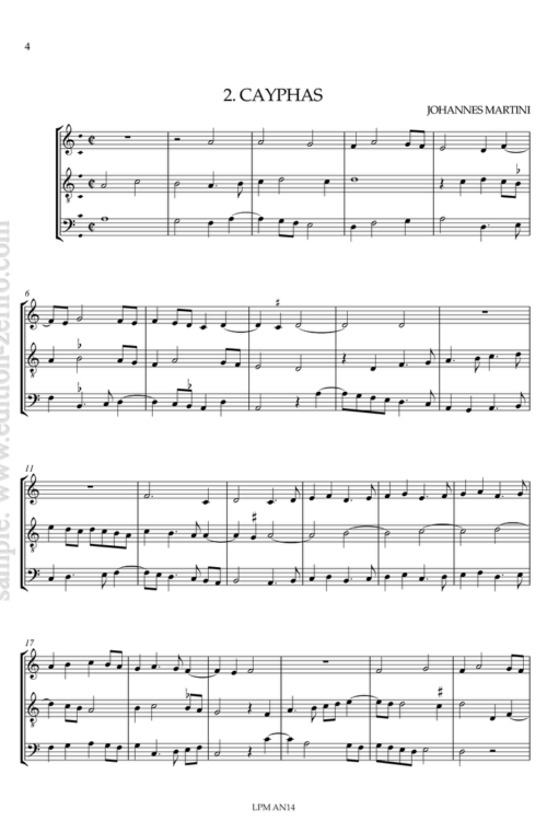 Twenty Pieces by Johannes Martini