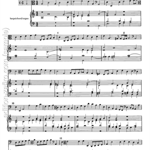 Richardo Rogniono - Viola bastarda settings